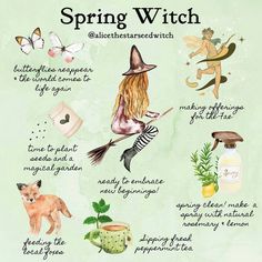 Page Of Wands, Witch Rituals, Green Witchcraft, Aries Tattoo, Witch Spirituality, Magic Herbs, Wiccan Spell Book