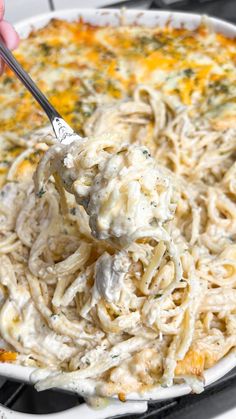 Easy Chicken Tetrazzini Recipe - Bad Batch Baking - Restaurant Copycat Recipes & Family Favorites Easy And Quick Supper Ideas, Easy Dinner Recipes For Family Of 8, One Pot Chicken Meals Pasta, Family Dinner Dessert Ideas, Best Chicken Tetrazzini Recipes, Bad Batch Baking, Supper Ideas Pasta, Chicken Tetrazzini Easy, Chicken Supper Ideas