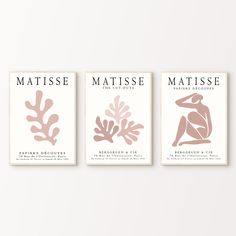 three posters with different types of seaweed in pink and beige on white background, each featuring an individual's silhouette