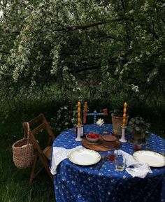 an outdoor table with plates and cups on it in the grass next to some trees