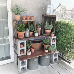 several potted plants are on top of a shelf in front of a door with the words interest above it