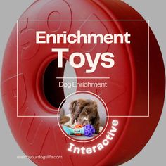 a red toy wheel with an image of a dog on it and the words, enrichment toys