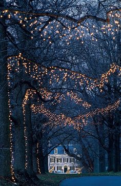 a house is lit up with christmas lights on the trees and in front of it