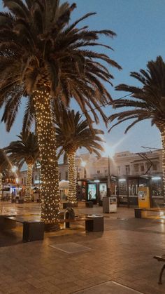 the palm trees are decorated with christmas lights