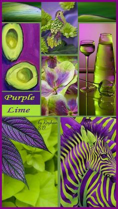 a collage of pictures with different things in them including flowers, plants and wine glasses