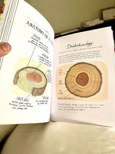 an open book with pictures of different parts of a tree trunk and the text anatomy of a tree