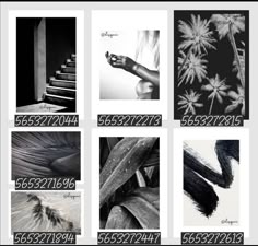 black and white photographs with numbers on them