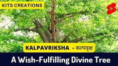 a wish - fulfling divine tree with the words kalpavirsha in english