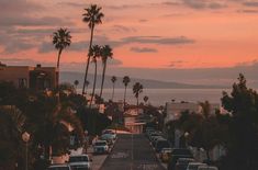 an airplane is flying over a street lined with parked cars and palm trees at sunset