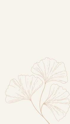 a drawing of a leaf on a white background