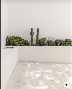 there is a planter with plants in it on the floor next to a wall