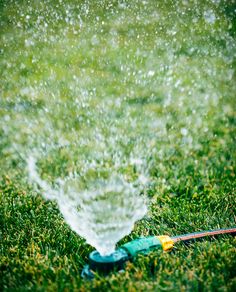 a sprinkler is spraying water onto the grass with a hose attached to it