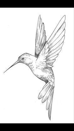 a drawing of a hummingbird flying in the air