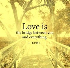 a bridge with the quote love is the bridge between you and everything rumi