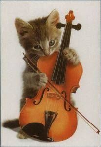 a kitten is playing with an orange violin