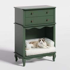 a dog is laying on its bed in a small green cabinet with two drawers and one drawer