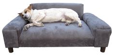 a dog laying on top of a gray couch