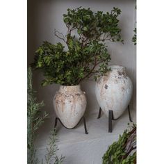 two white vases with plants in them sitting on a shelf next to each other