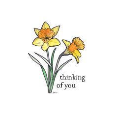 two yellow daffodils with the words thinking of you