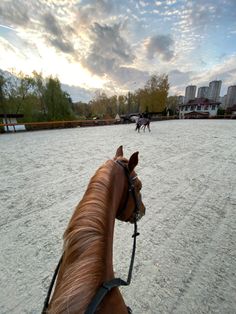 two horses are walking in an open field with buildings in the backgrouds