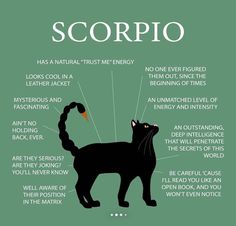 a black cat with the words scorpio on it's back side