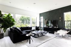 a black and white living room with large windows, couches, coffee table and potted plant