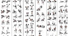 a series of illustrations showing different exercises for people to do in the gym, including bench press