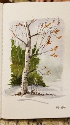 a watercolor painting of a birch tree in the snow, with leaves on it