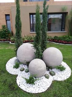 some rocks and plants in the middle of a lawn with grass around them, near a building