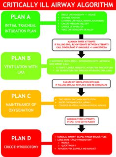 a flow diagram showing the steps in which to plan and maintain an airway system