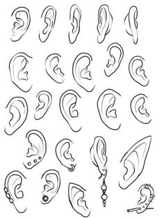 the various types of ear piercings are shown in this drawing, and each has different shapes