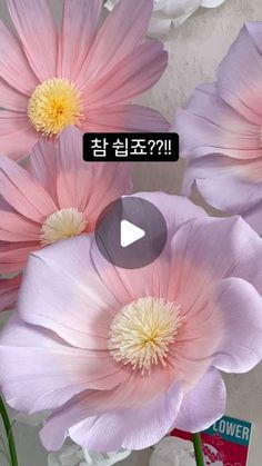 pink and white flowers with the words flower power written in korean on top of them