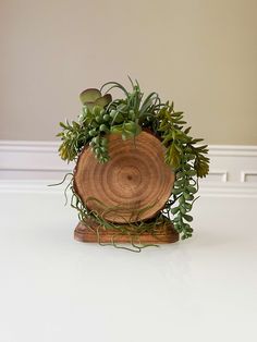 a wooden bowl filled with green plants on top of a white counter next to a wall