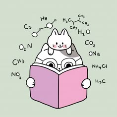 cute cat reading a book with chemical formulas on the background, cartoon character illustration