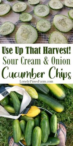 cucumber chips on the ground with text overlay that reads use up that harvest sour cream & onion cucumber chips