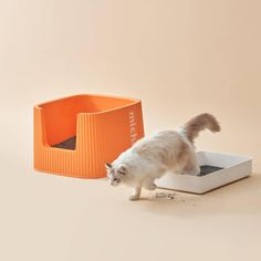 a white cat standing next to an orange litter box