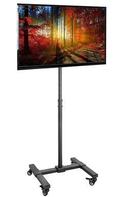 a television screen on a stand with wheels