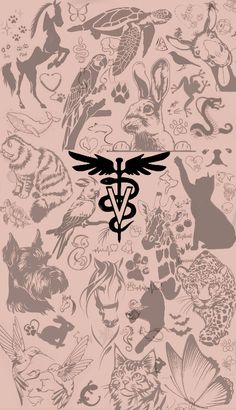 #medvet #veterinaria #faculdade Zoo Vet Tech, Veterinary Nurse Aesthetic, Future Veterinarian Wallpaper, Veterinary Wallpaper, Cornell Vet School, Vet Wallpaper