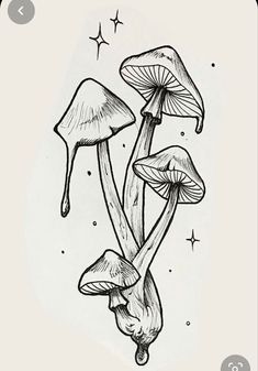 three mushrooms with stars in the background and one mushroom is upside down on its head