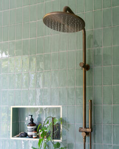 a shower head with thermostaer and plants in it