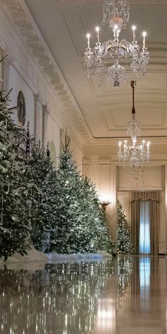 White House Christmas Tree, White House Christmas, Slim Christmas Tree, Christmas Time Is Here, Christmas 2017, Noel Christmas, Christmas Mood