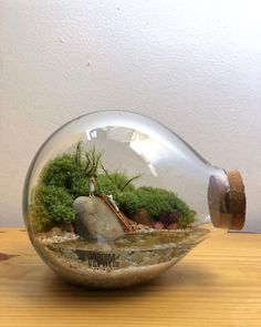 an empty glass bottle filled with plants and rocks