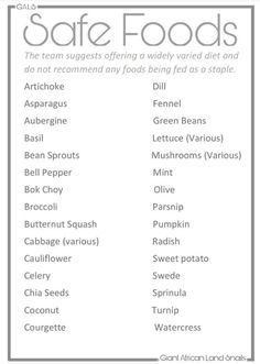 the safe foods list is shown in grey and white, with words describing what to eat