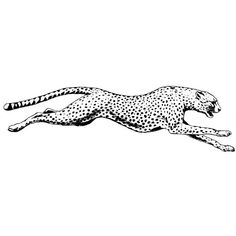 a black and white drawing of a cheetah running