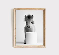 a black and white photo of a small horse next to a roll of toilet paper