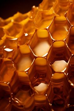 honeycombs are arranged in the shape of hexagons