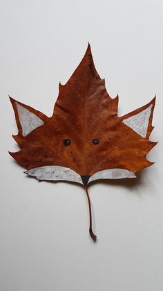 a leaf shaped like a fox is hanging on the wall