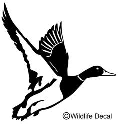 a black and white image of a duck flying