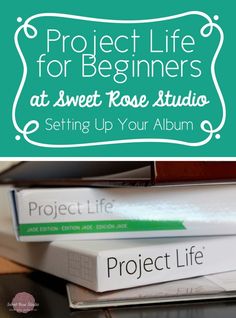 the project life for beginners at sweet rose studio setting up your album is easy