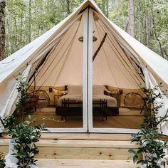 the inside of a tent with plants growing out of it